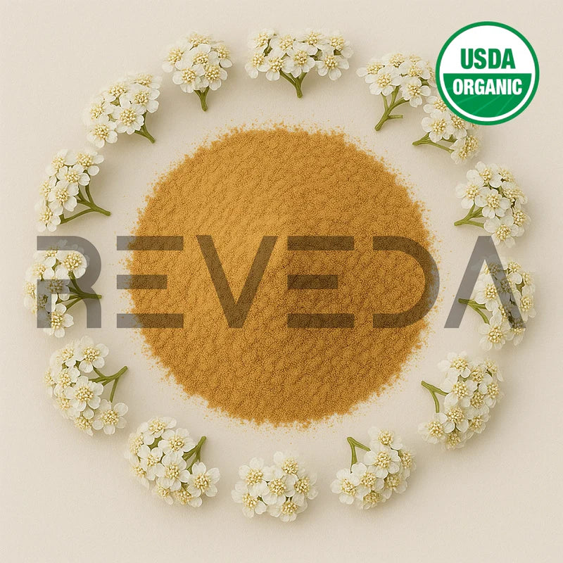 Yarrow Extract Powder
