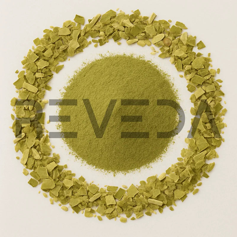 Yerba Mate Extract Powder